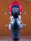 Axis-back-view