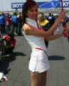 Gridgirl01.jpg (57358 bytes)